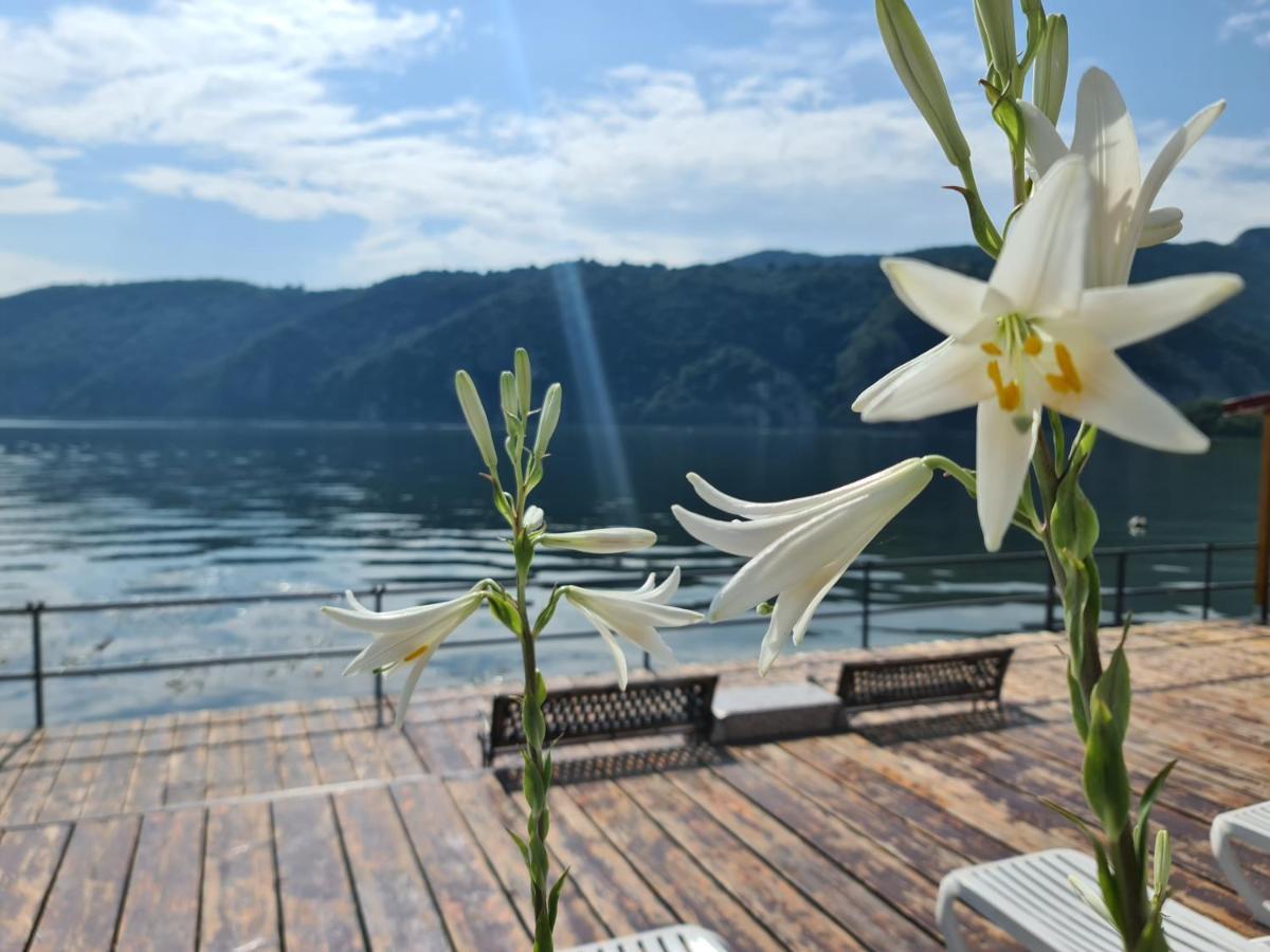 Vila Cristiane Otel Ieşelniţa Dış mekan fotoğraf